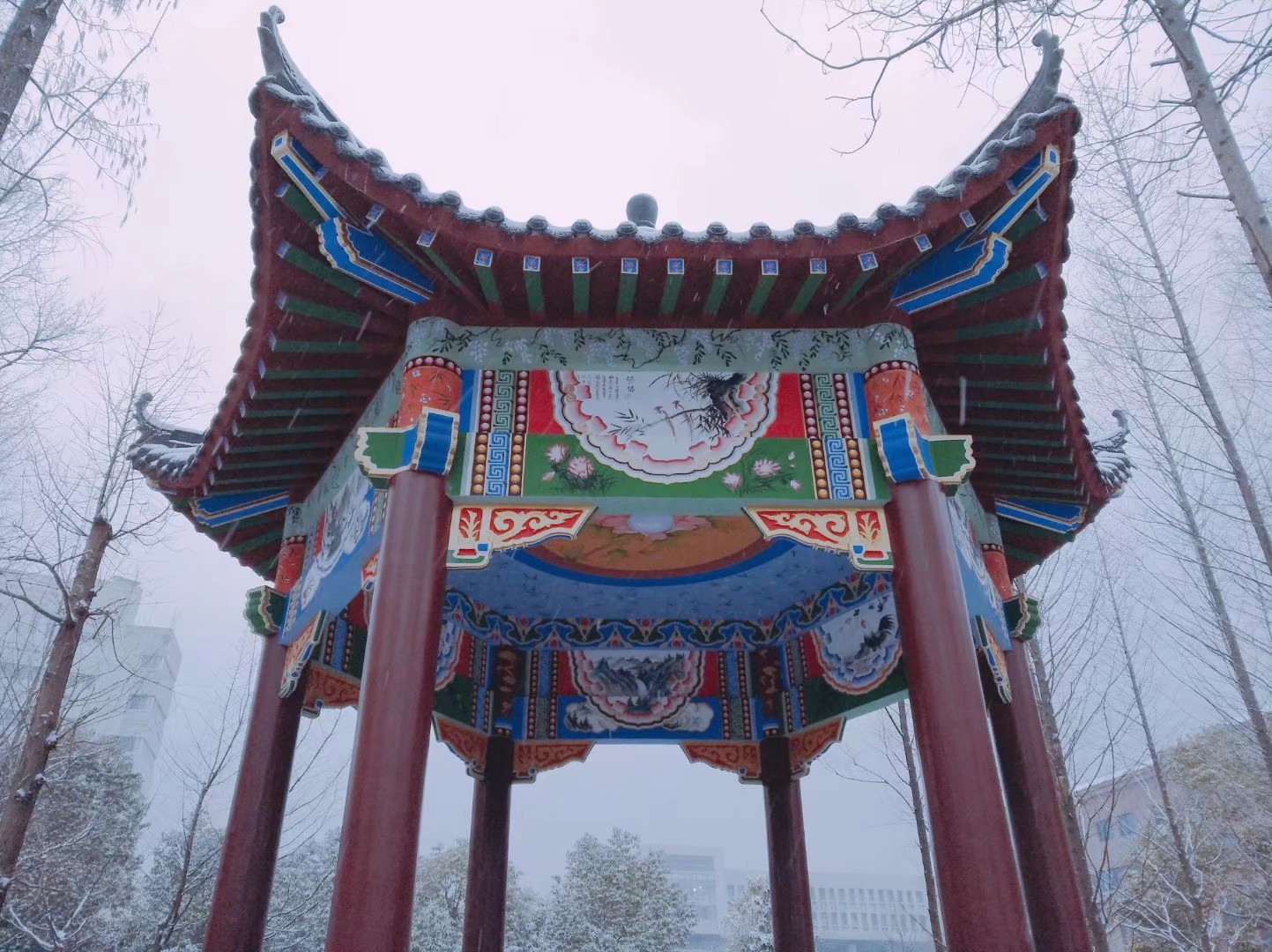 威廉希尔体育
