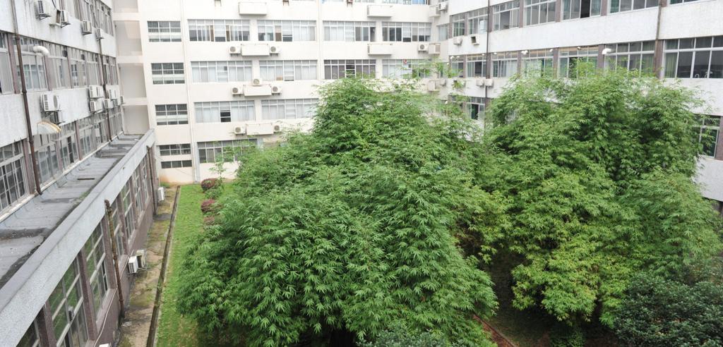 威廉希尔体育