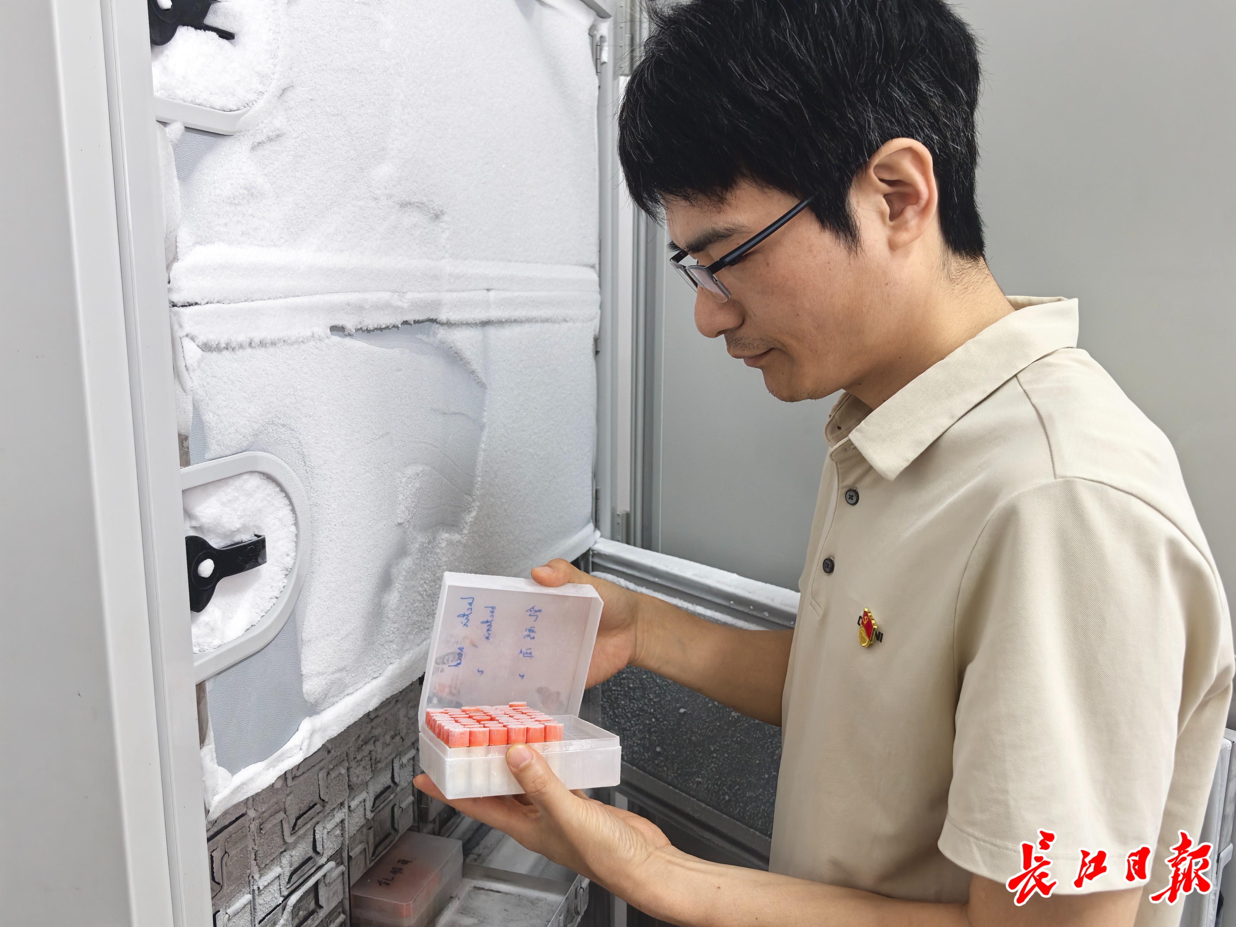 威廉希尔体育