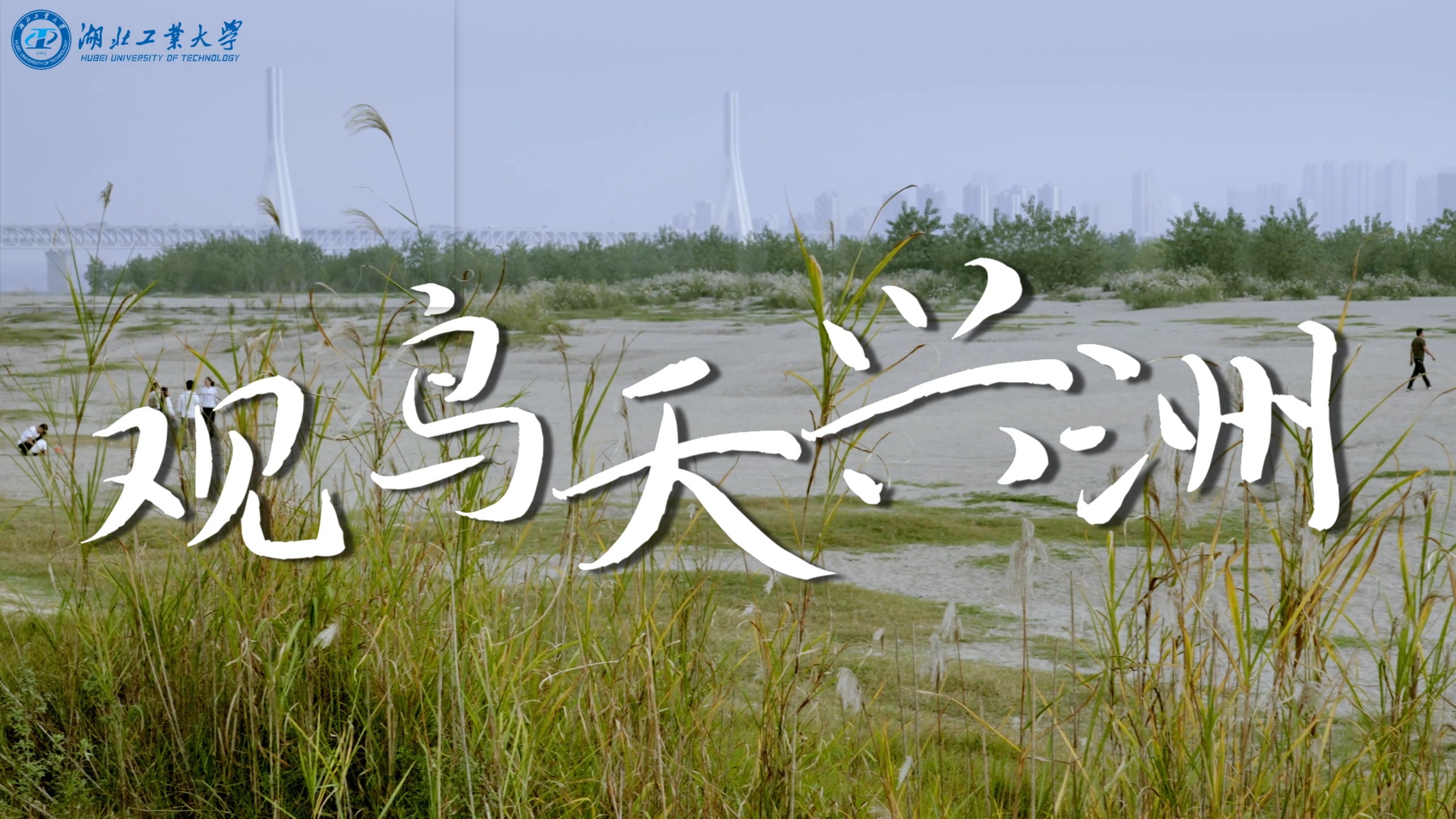 威廉希尔体育