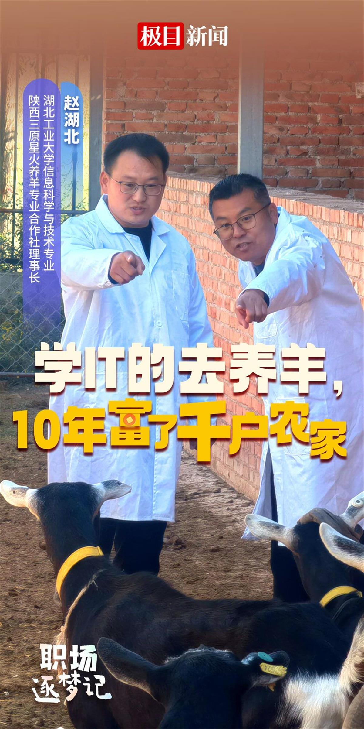 威廉希尔体育